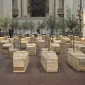 2013 Some more art installation: coffins and trees