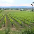 Part of Il Palazzo's 500 hectares of vineyard, Marconi, Arezzo and the Sagra del Maccherone Festival, Battifolle, Tuscany - 9th June 2013