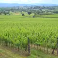 Another view of the vineyards, A Tuscan Winery and a Trip to Siena, Tuscany, Italy - 10th June 2013