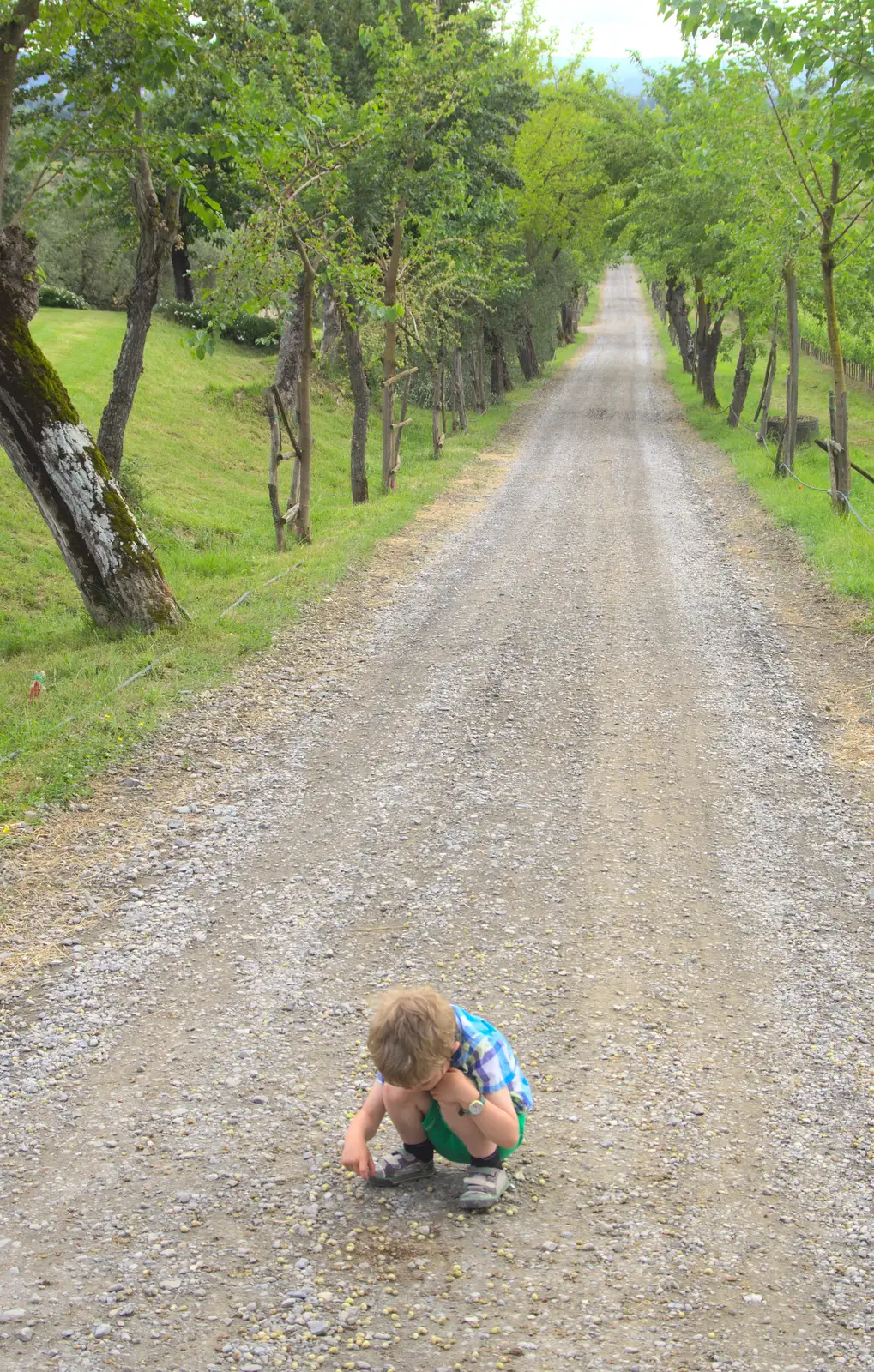 Fred squats on the drive and looks at ants, from A Tuscan Winery and a Trip to Siena, Tuscany, Italy - 10th June 2013