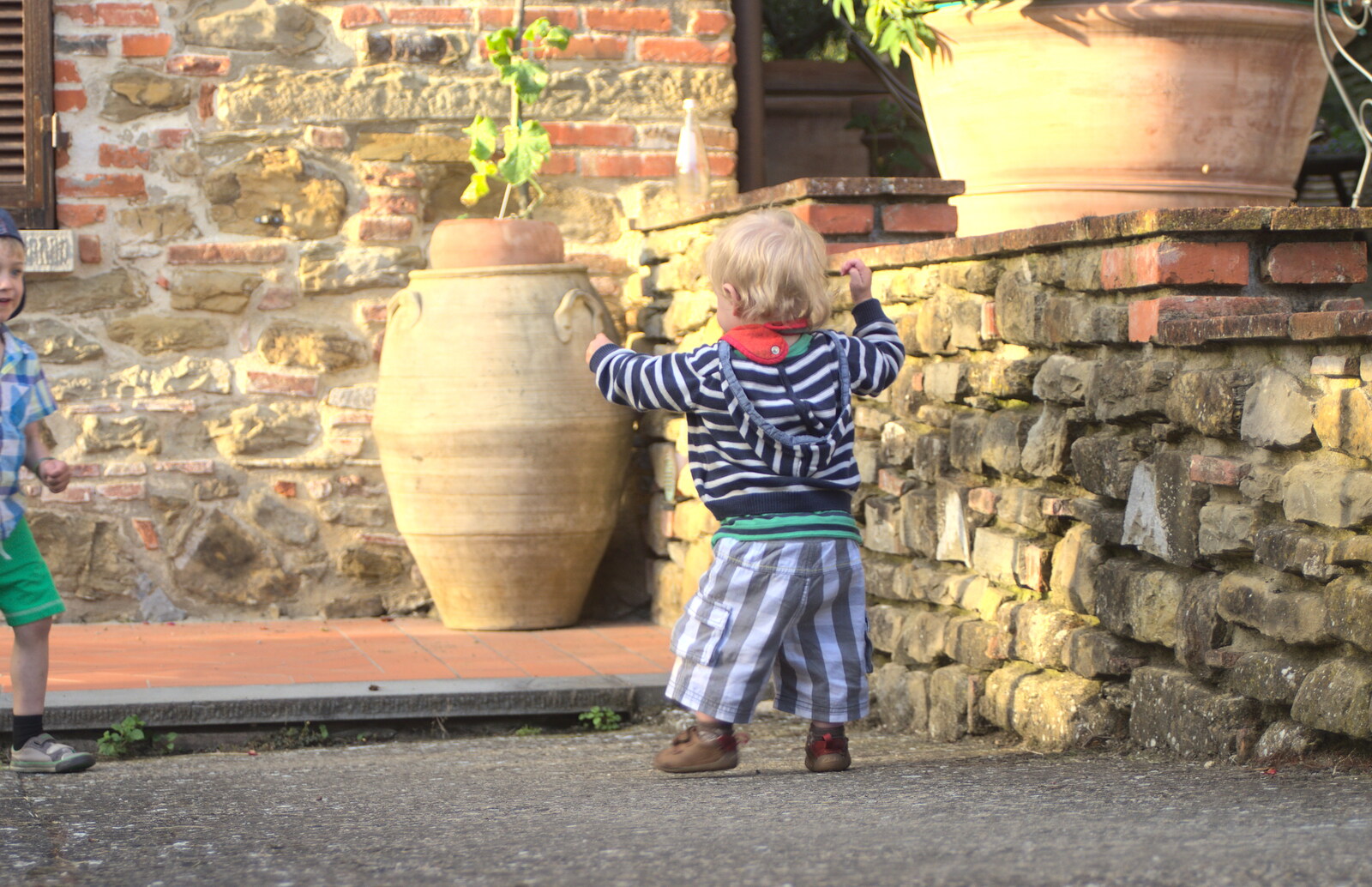 A Tuscan Winery and a Trip to Siena, Tuscany, Italy - 10th June 2013: Harry goes for a walk