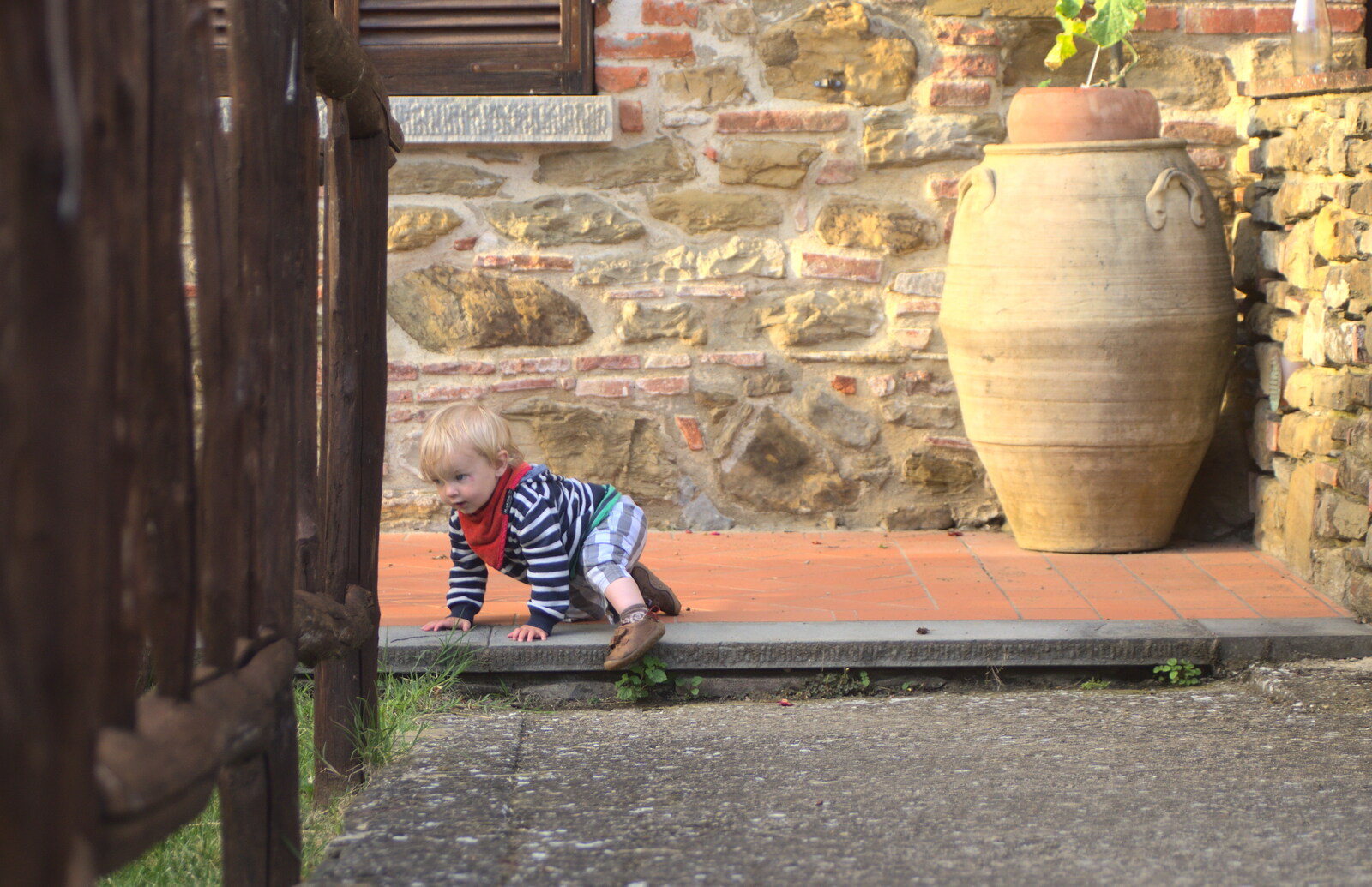 A Tuscan Winery and a Trip to Siena, Tuscany, Italy - 10th June 2013: Harry on the path
