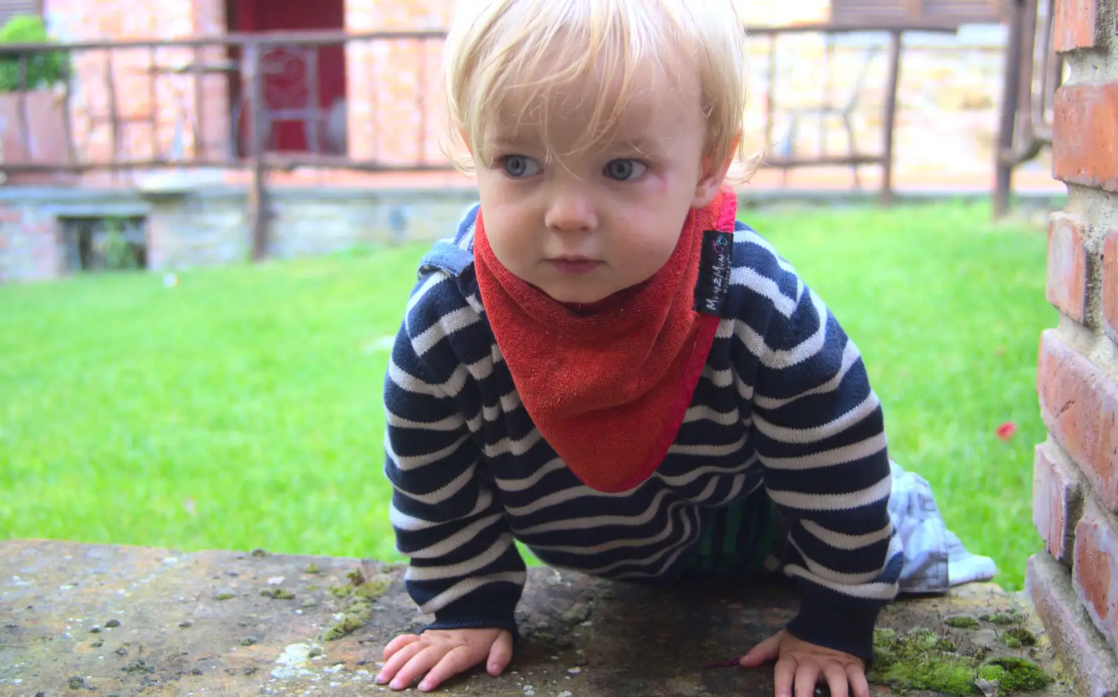 Harry - Baby Gabey, from A Tuscan Winery and a Trip to Siena, Tuscany, Italy - 10th June 2013