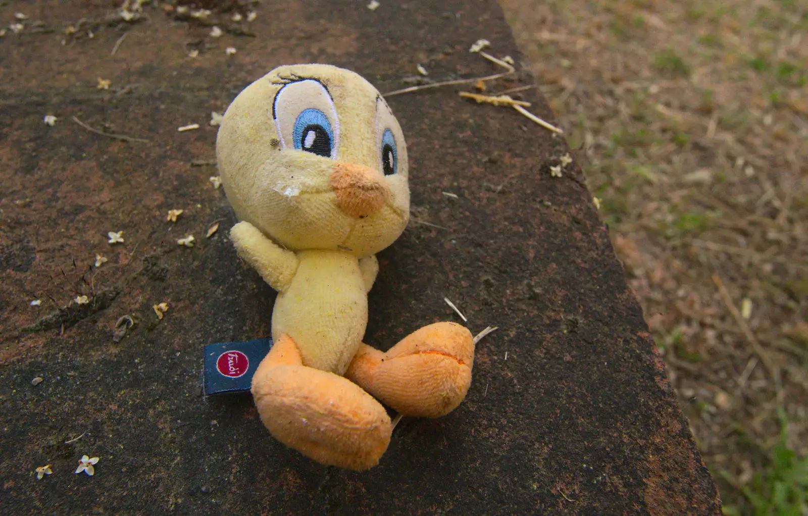 A discarded Tweety-Pie soft toy looks folorn, from La Verna Monastery and the Fireflies of Tuscany, Italy - 14th June 2013