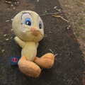 A discarded Tweety-Pie soft toy looks folorn, La Verna Monastery and the Fireflies of Tuscany, Italy - 14th June 2013