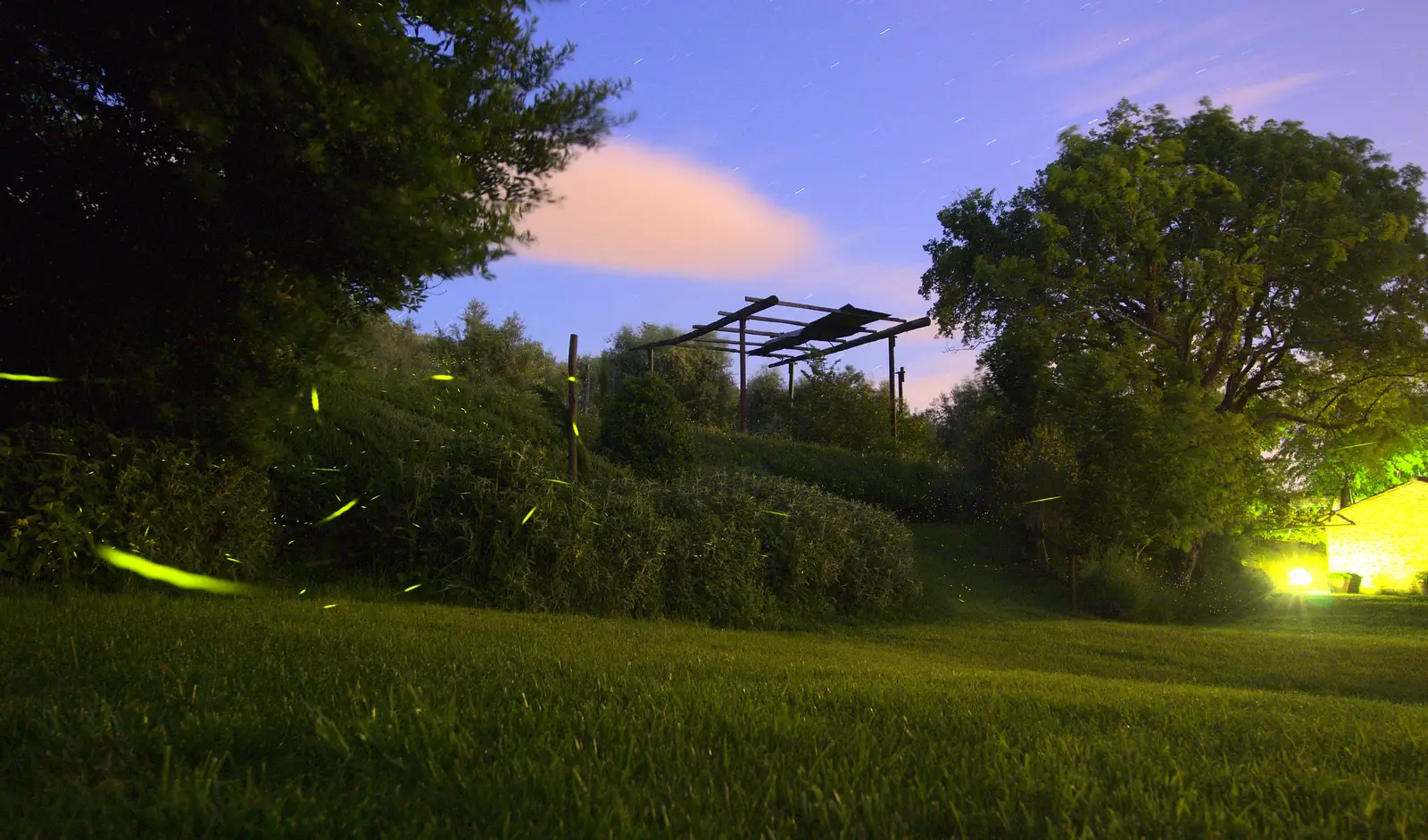 Fire flies dance around, from La Verna Monastery and the Fireflies of Tuscany, Italy - 14th June 2013