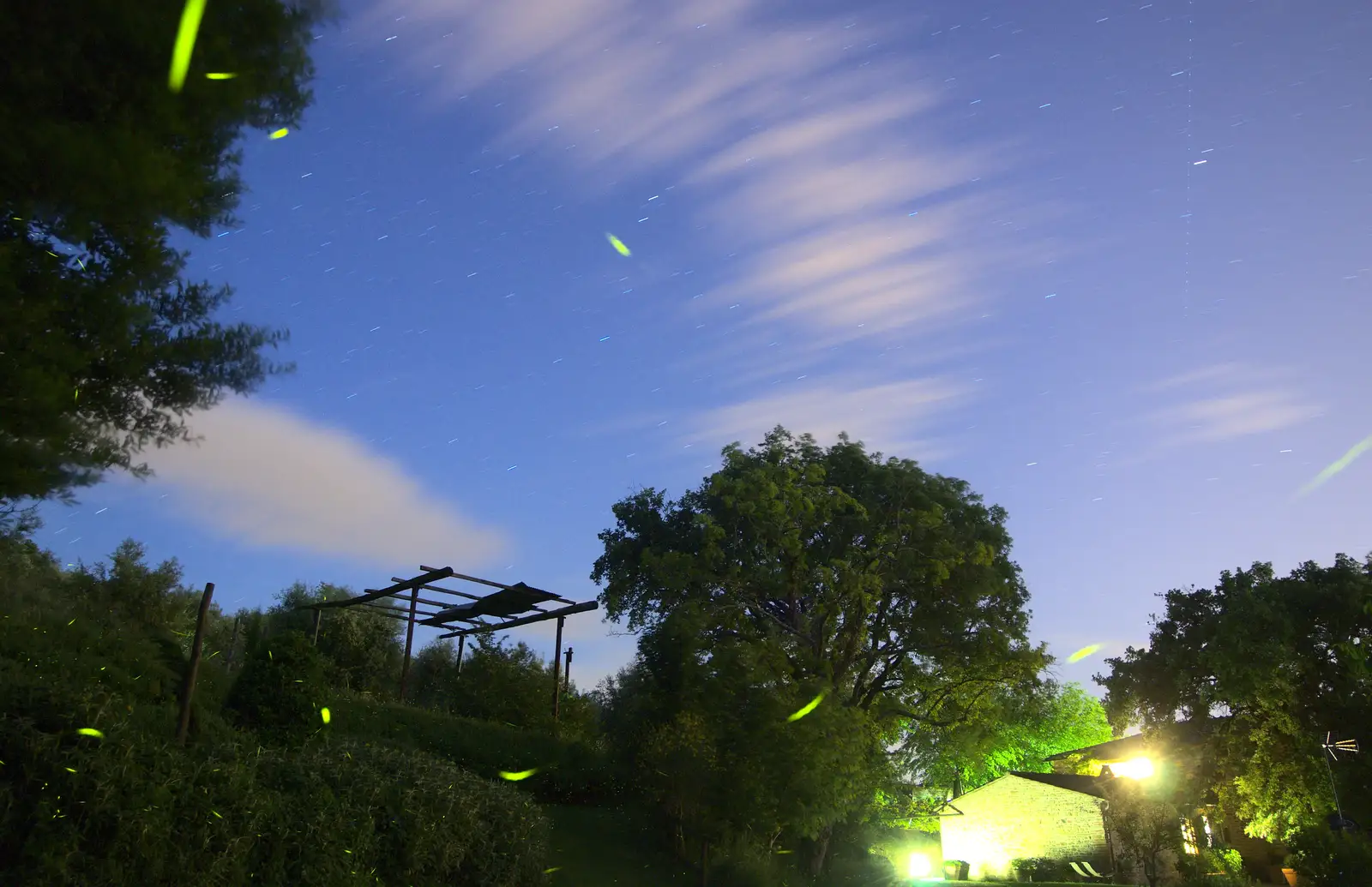 Fireflies and star trails, from La Verna Monastery and the Fireflies of Tuscany, Italy - 14th June 2013