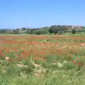 More poppies of Tuscany, La Verna Monastery and the Fireflies of Tuscany, Italy - 14th June 2013