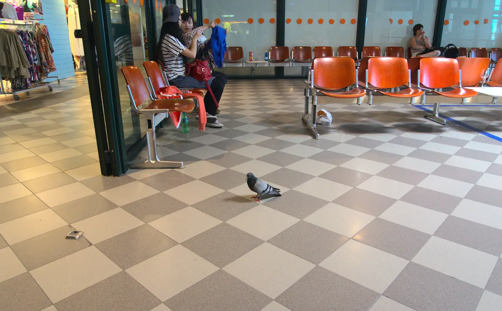 A pigeon waits at Gate 9 for something to happen, from La Verna Monastery and the Fireflies of Tuscany, Italy - 14th June 2013