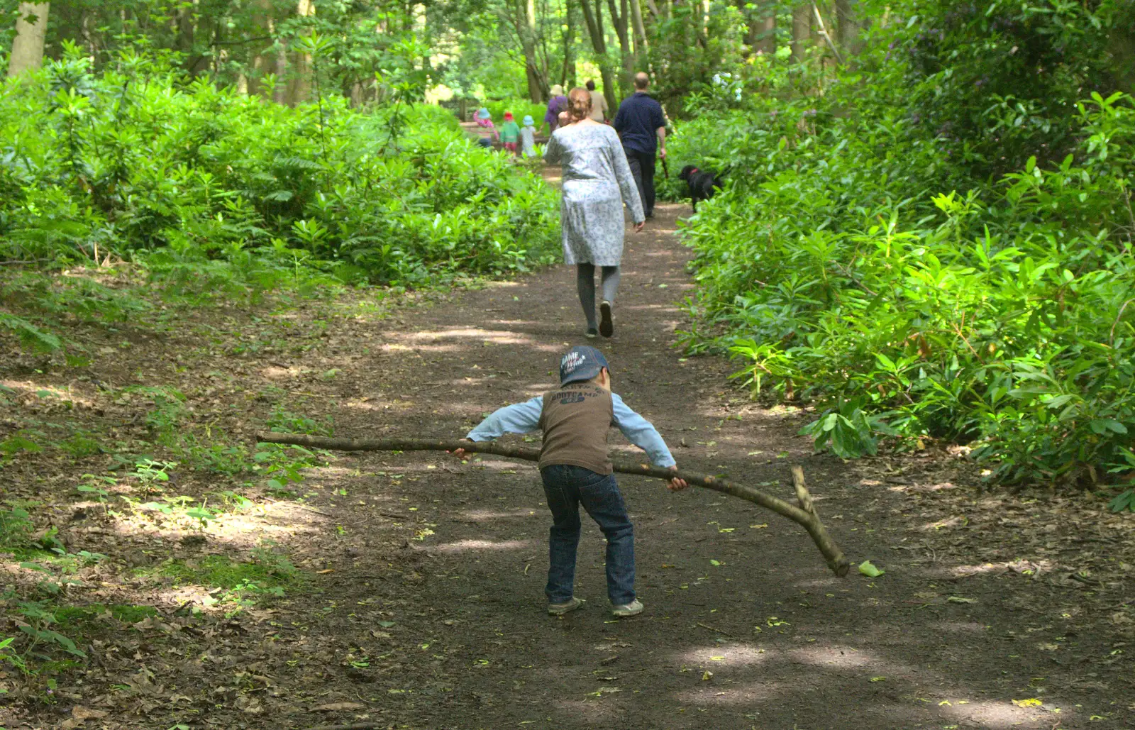 Fred picks up a particularly large stick, from Petrol Station Destruction, and a Cliff House Camping Trip, Southwark and Dunwich, Suffolk - 30th June 2013