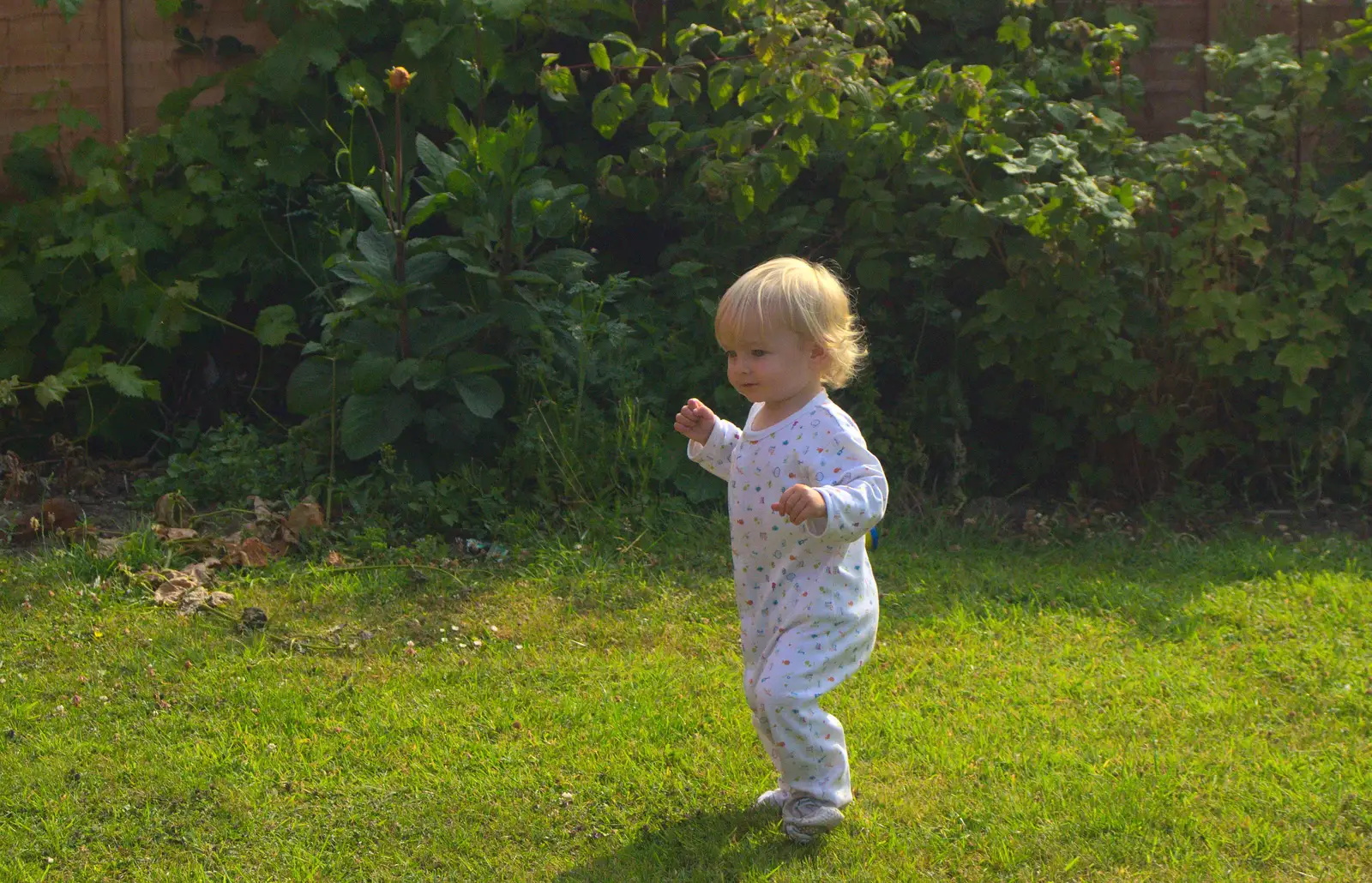 Harry stumps around in the garden, from The BSCC at Pulham Crown, and Grandad with a Grinder, Brome, Suffolk - 11th July 2013