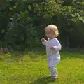 Harry stumps around in the garden, The BSCC at Pulham Crown, and Grandad with a Grinder, Brome, Suffolk - 11th July 2013