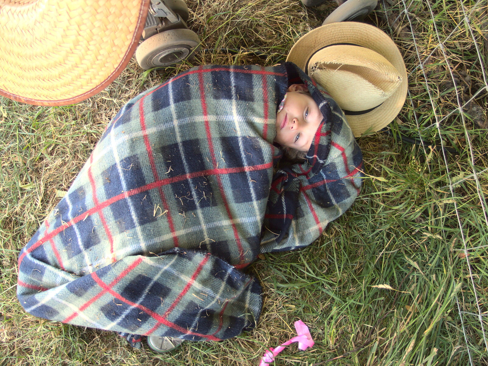 Fred's made a little nest from The 8th Latitude Festival, Henham Park, Southwold, Suffolk - 18th July 2013