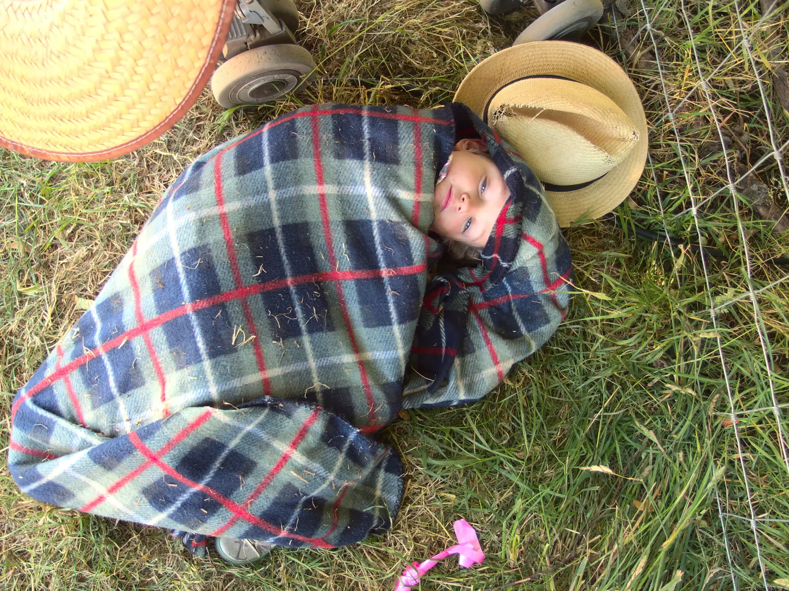 Fred's made a little nest, from The 8th Latitude Festival, Henham Park, Southwold, Suffolk - 18th July 2013