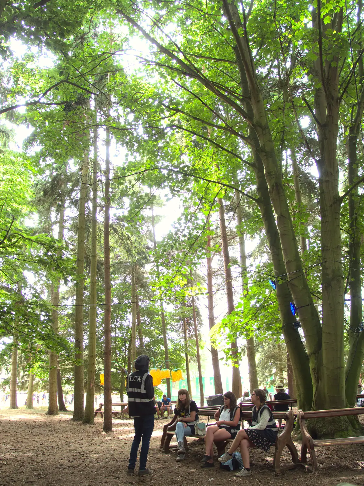 Up in the woods, from The 8th Latitude Festival, Henham Park, Southwold, Suffolk - 18th July 2013