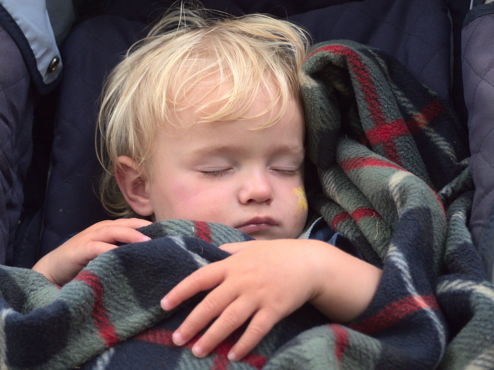 Harry - Baby Gabey - has a sleep from The 8th Latitude Festival, Henham Park, Southwold, Suffolk - 18th July 2013