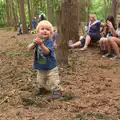 Harry roams around in the woods, The 8th Latitude Festival, Henham Park, Southwold, Suffolk - 18th July 2013