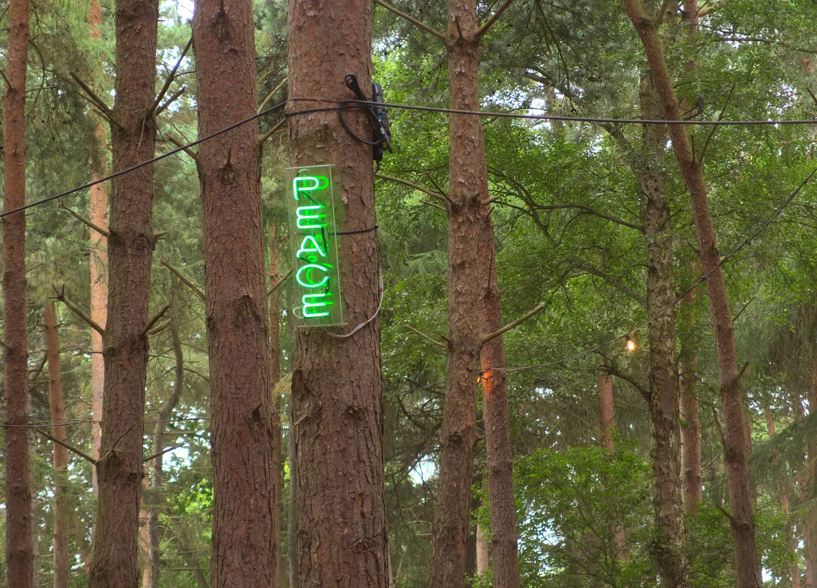 Peace, maaaan, from The 8th Latitude Festival, Henham Park, Southwold, Suffolk - 18th July 2013