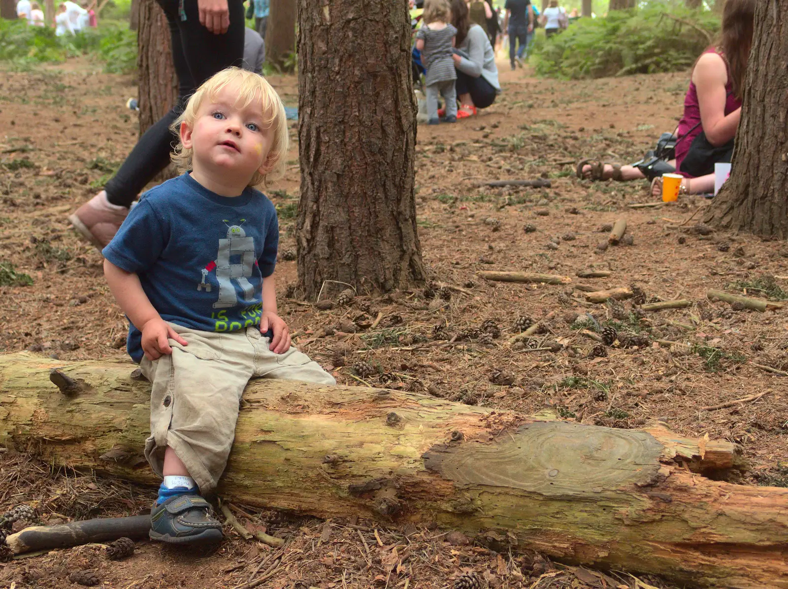 Harry sits on a log, from The 8th Latitude Festival, Henham Park, Southwold, Suffolk - 18th July 2013