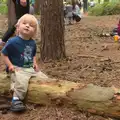 Harry sits on a log, The 8th Latitude Festival, Henham Park, Southwold, Suffolk - 18th July 2013