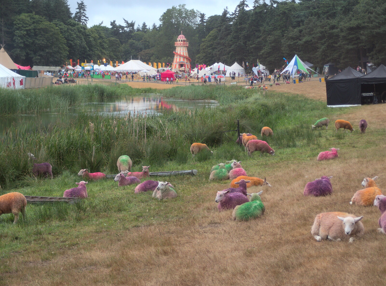 The famous painted sheep of Latitude from The 8th Latitude Festival, Henham Park, Southwold, Suffolk - 18th July 2013
