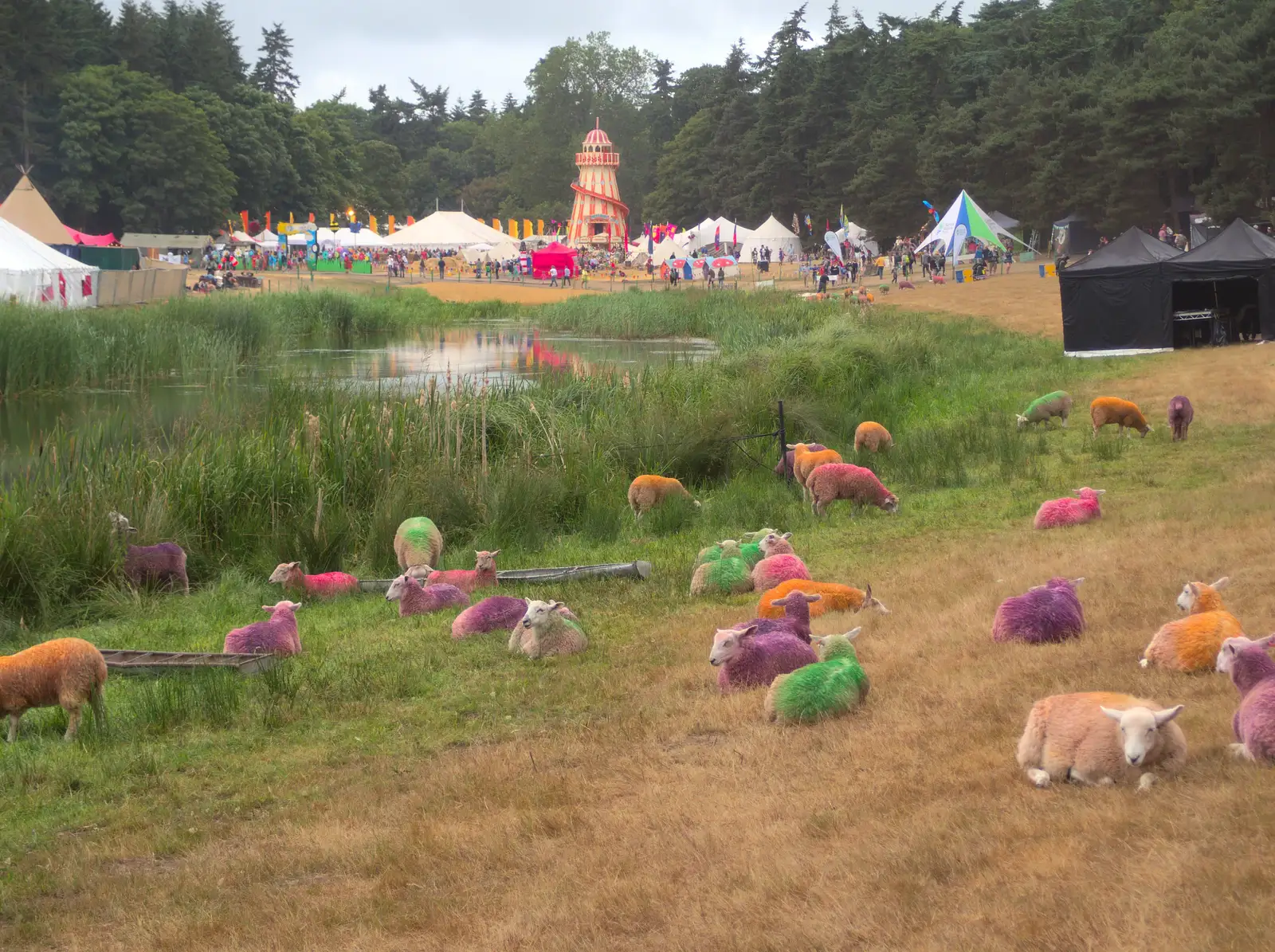 The famous painted sheep of Latitude, from The 8th Latitude Festival, Henham Park, Southwold, Suffolk - 18th July 2013