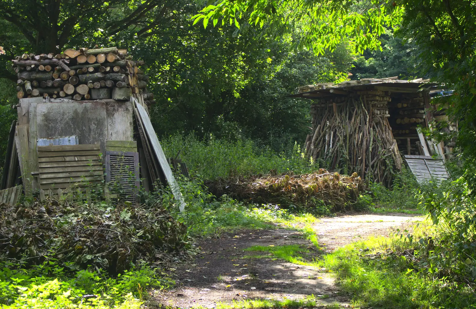 Oddly-uniform stacks of wood by the path, from Henry's 60th Birthday, Hethel, Norfolk - 3rd August 2013