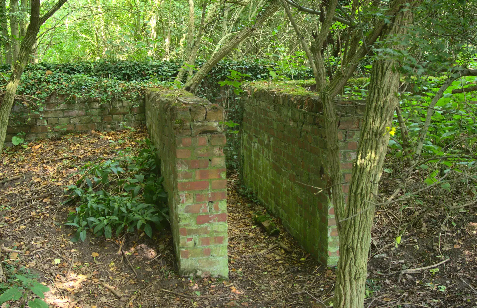 A brick almost-maze, in the shape of a big '+', from Henry's 60th Birthday, Hethel, Norfolk - 3rd August 2013