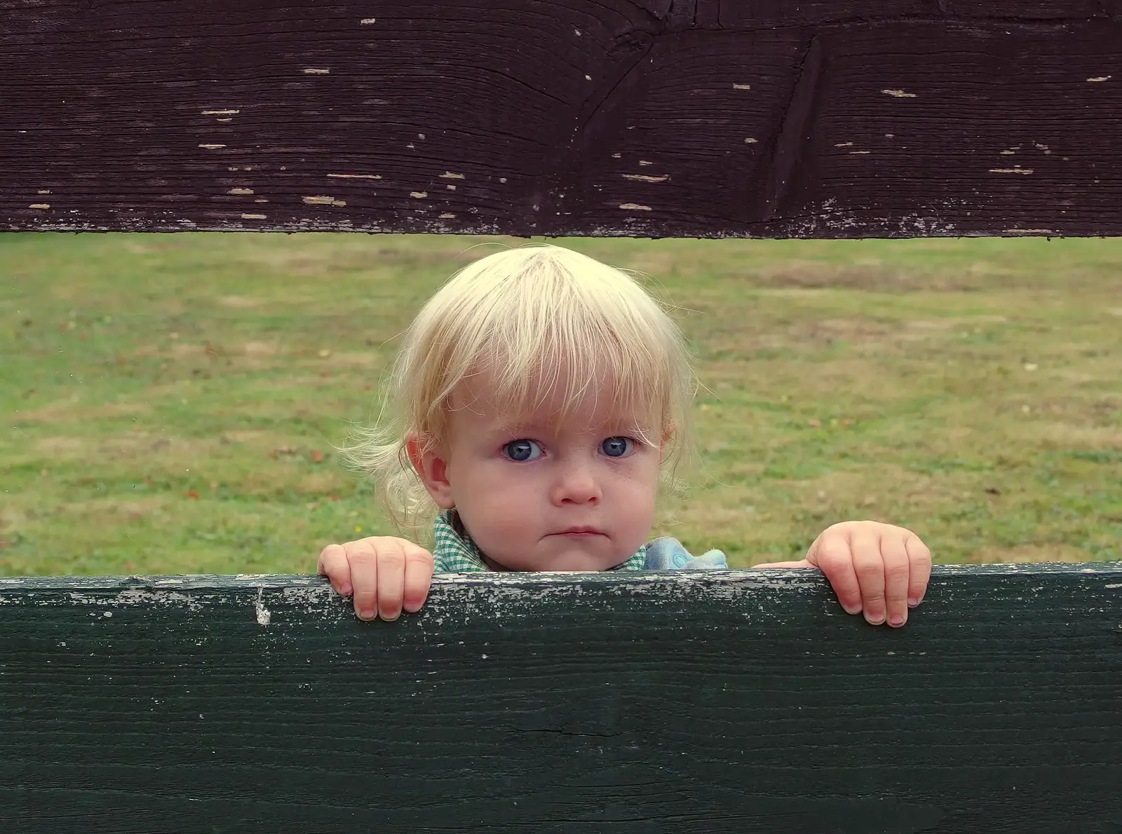 Harry peers through a fence, from The BSCC at Wingfield, and a Swan Inn Barbeque, Brome - 4th August 2013