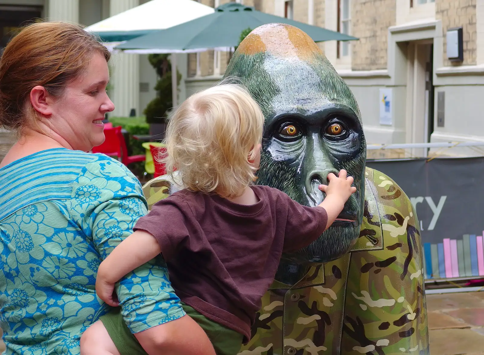 Harry picks the gorilla's nose, from The Gorillas of Norwich, Norfolk - 5th August 2013