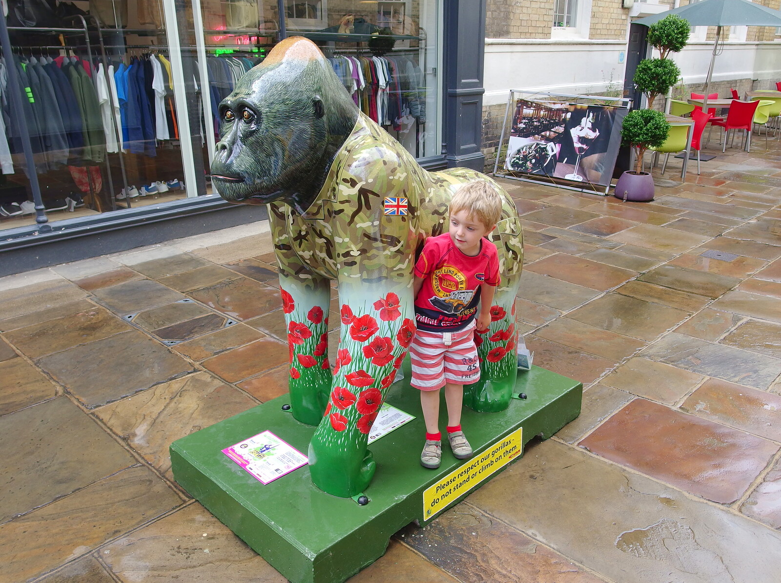 Fred leans in from The Gorillas of Norwich, Norfolk - 5th August 2013