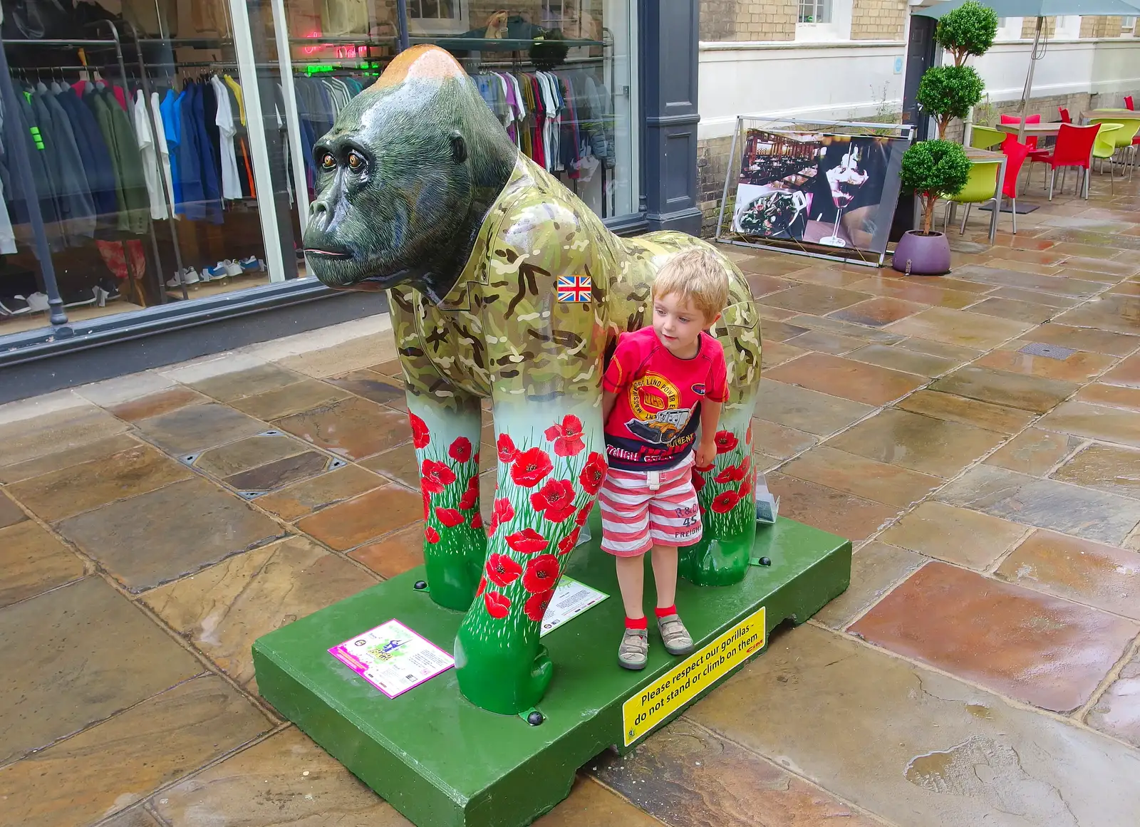 Fred leans in, from The Gorillas of Norwich, Norfolk - 5th August 2013