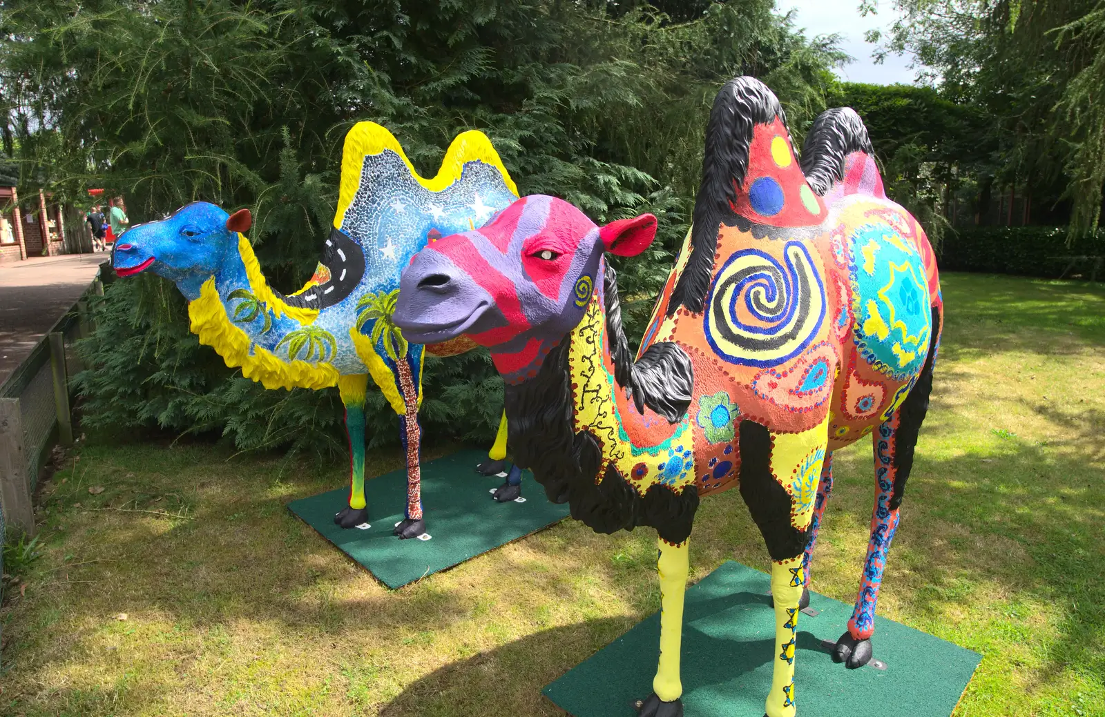 Some of the camels look a bit zombie, from Tiger Cubs at Banham Zoo, Banham, Norfolk - 6th August 2013