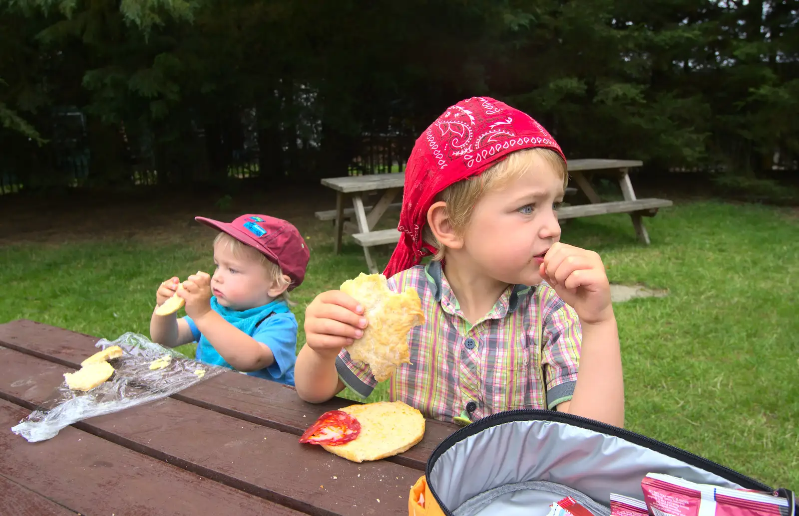 Harry and Fred eat their picnic, from Tiger Cubs at Banham Zoo, Banham, Norfolk - 6th August 2013