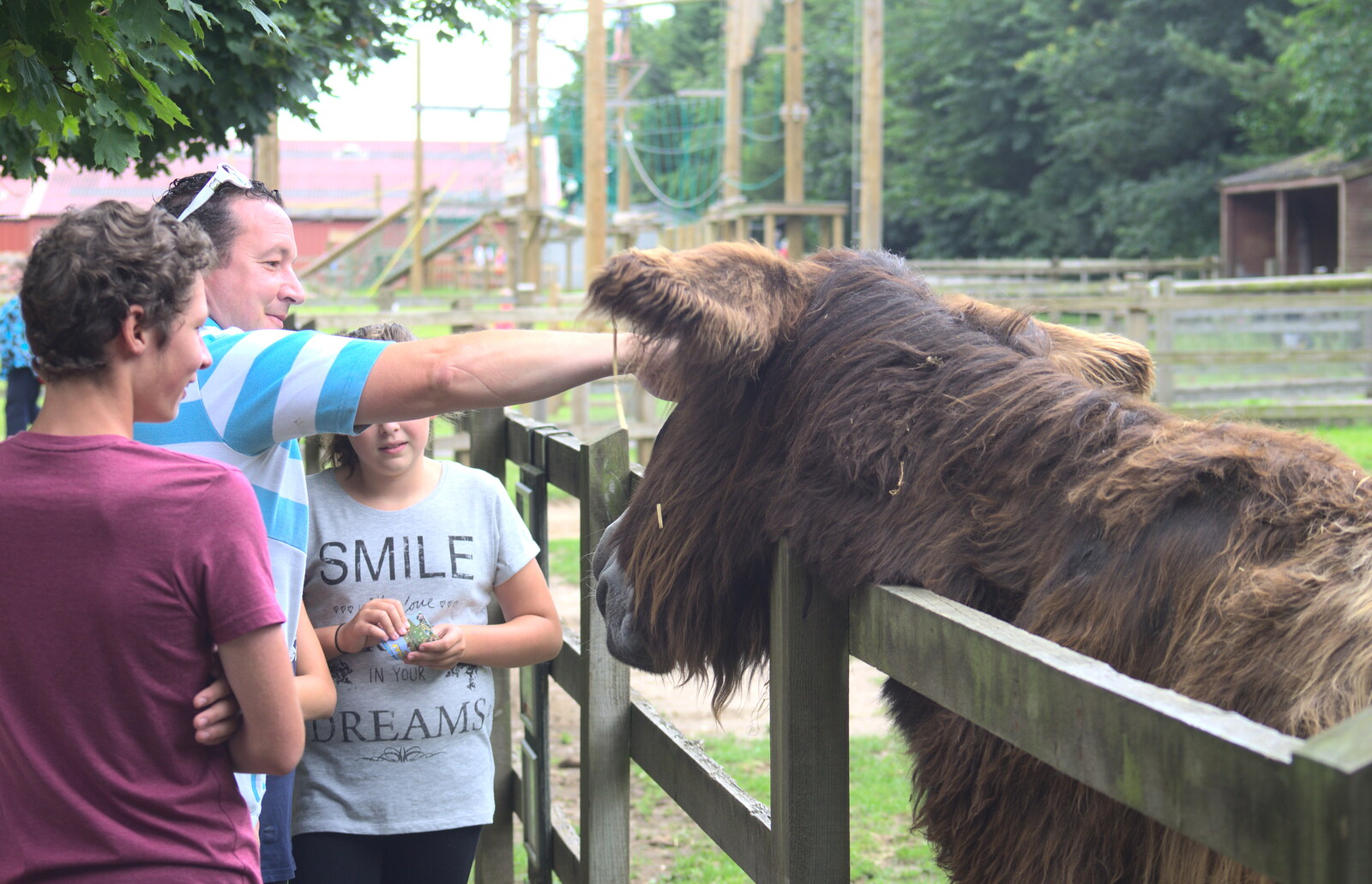 People interact with the massive hairy donkey from Tiger Cubs at Banham Zoo, Banham, Norfolk - 6th August 2013