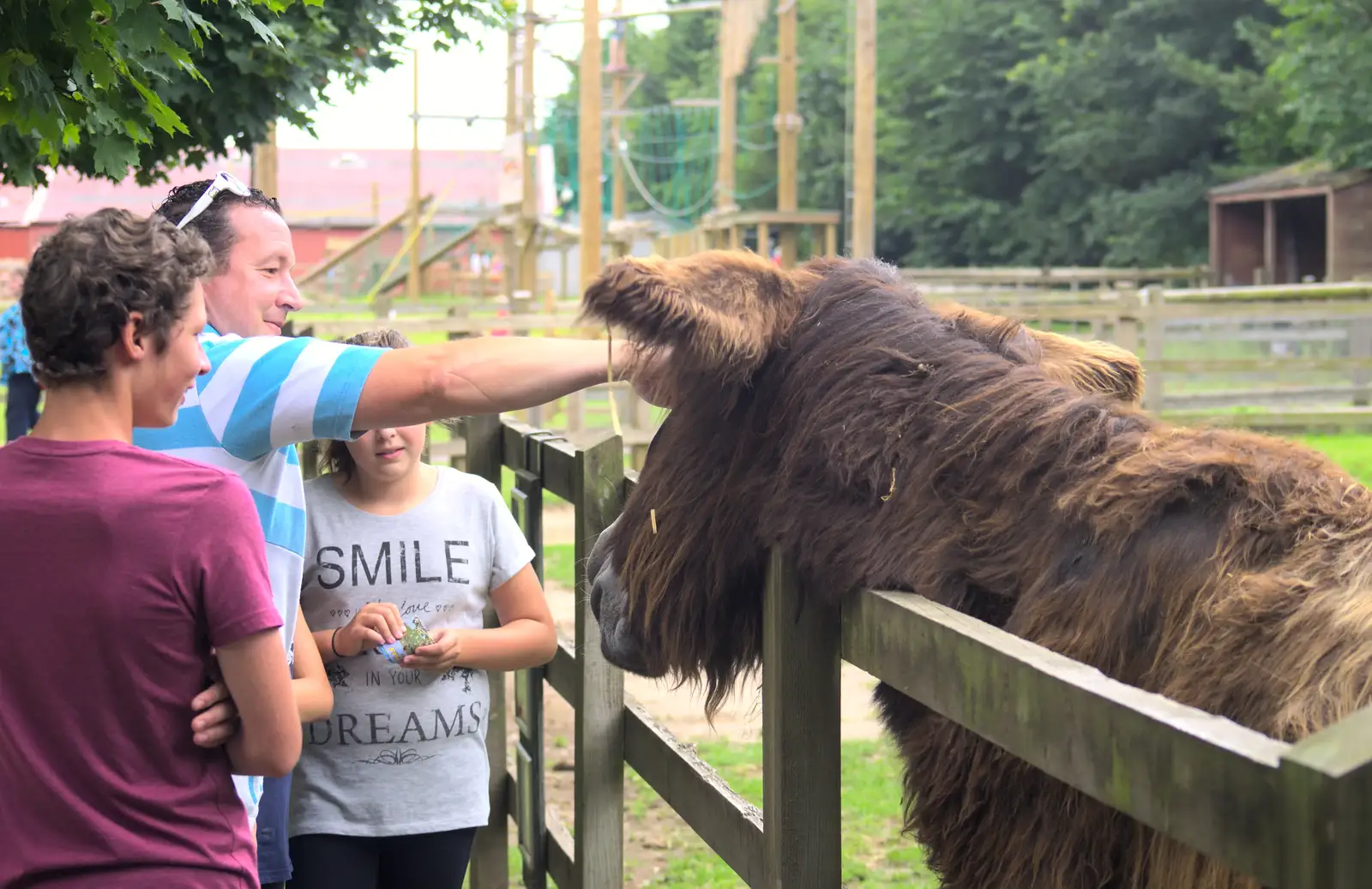 People interact with the massive hairy donkey, from Tiger Cubs at Banham Zoo, Banham, Norfolk - 6th August 2013