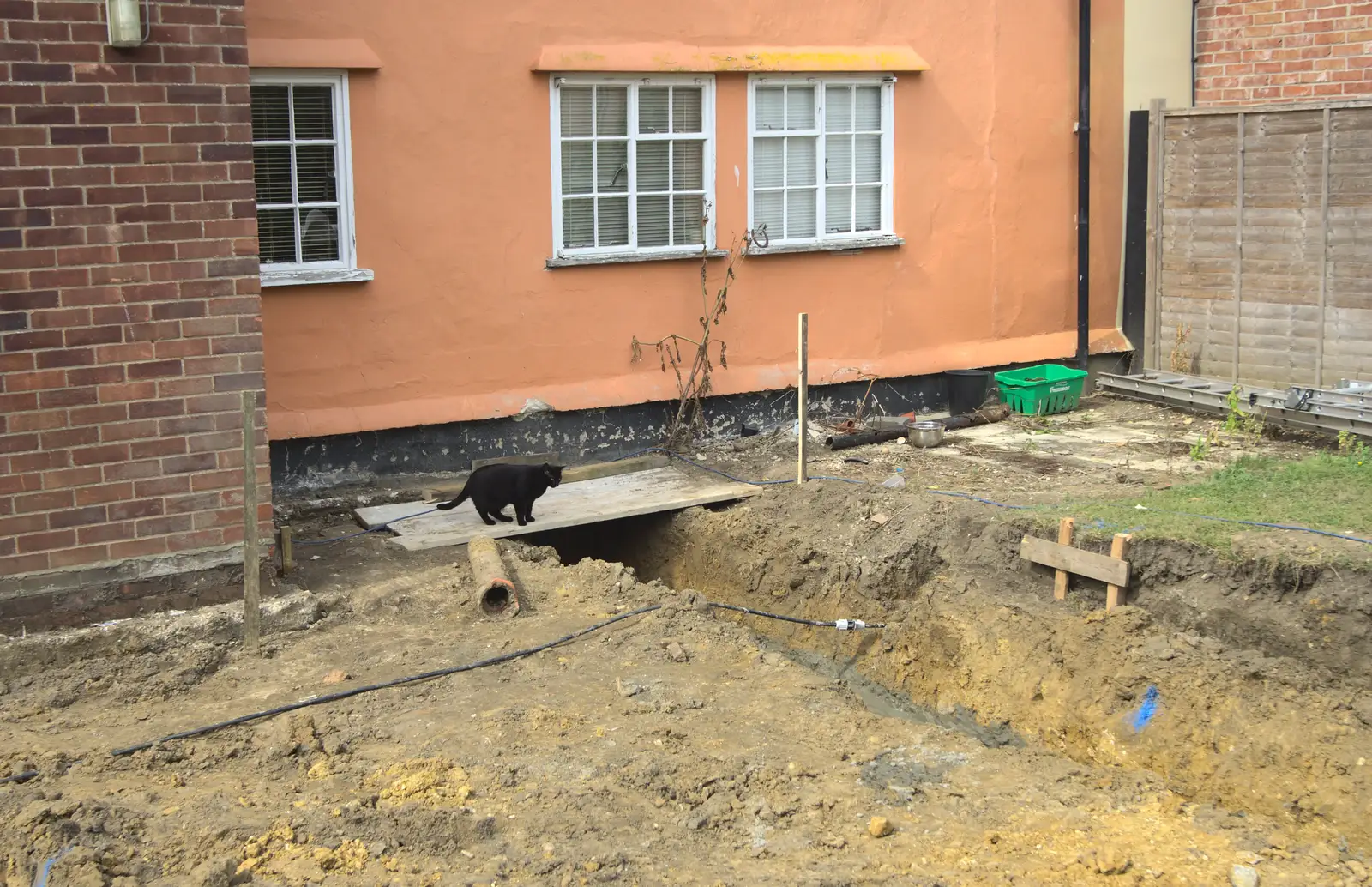 Millie the Mooch isn't sure, from Grand Designs: Building Commences, Brome, Suffolk - 8th August 2013