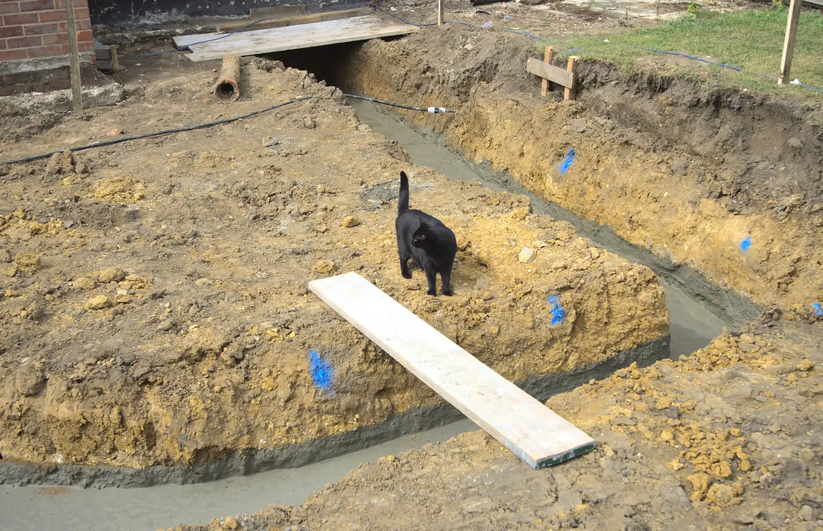 Millie explores the footings, from Grand Designs: Building Commences, Brome, Suffolk - 8th August 2013