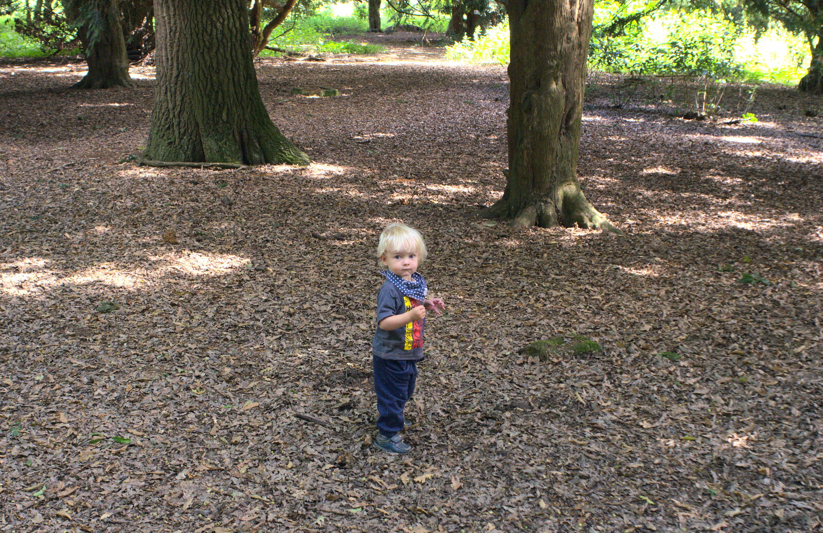 Harry in the woods from A Giant Sand Pile, and a Walk at Thornham, Suffolk - 17th August 2013