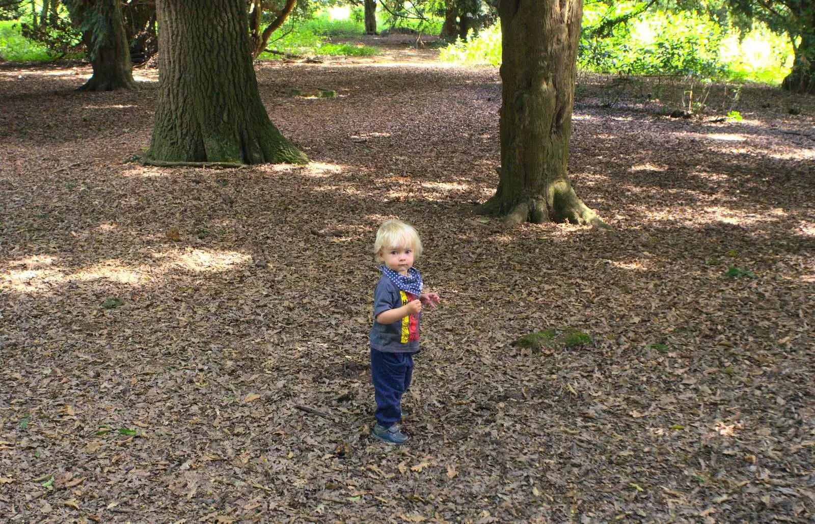 Harry in the woods, from A Giant Sand Pile, and a Walk at Thornham, Suffolk - 17th August 2013