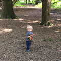 Harry in the woods, A Giant Sand Pile, and a Walk at Thornham, Suffolk - 17th August 2013
