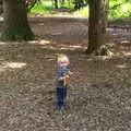 Harry in the woods, A Giant Sand Pile, and a Walk at Thornham, Suffolk - 17th August 2013