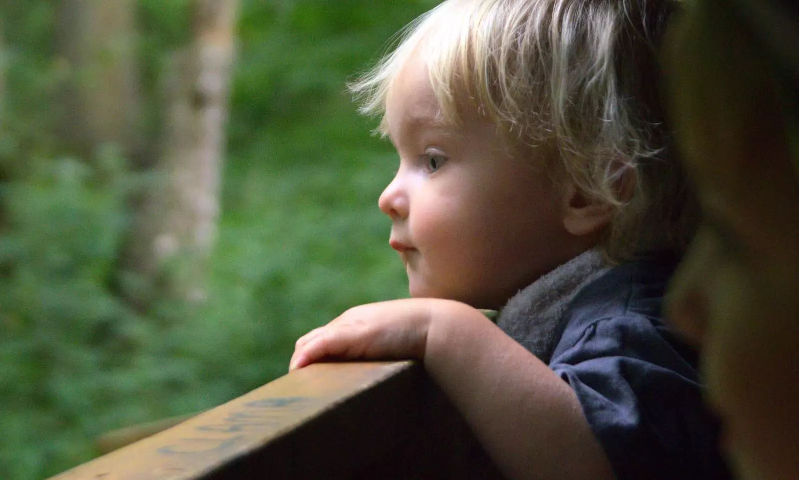 Harry peers out from the bird hide, from A Giant Sand Pile, and a Walk at Thornham, Suffolk - 17th August 2013