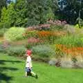 Fred roams around the gardens of Bressingham, Bressingham Gardens, and Building Progress, Brome, Suffolk - 26th August 2013