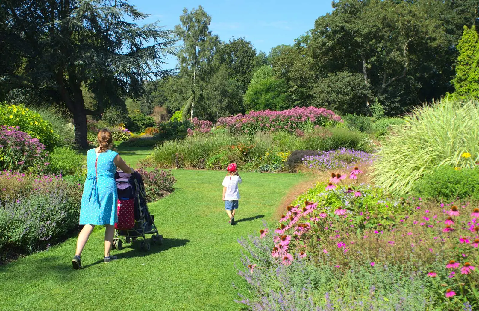 Adrian Bloom's garden in summer, from Bressingham Gardens, and Building Progress, Brome, Suffolk - 26th August 2013