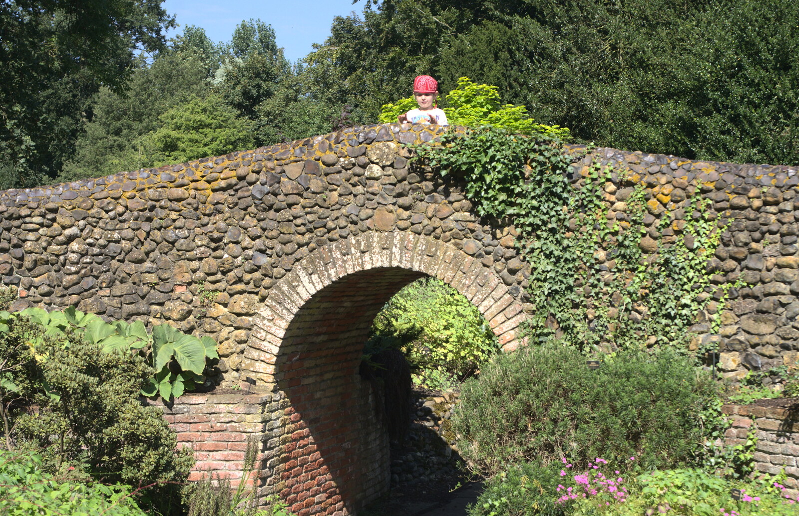 Fred peers out from the bridge from Bressingham Gardens, and Building Progress, Brome, Suffolk - 26th August 2013