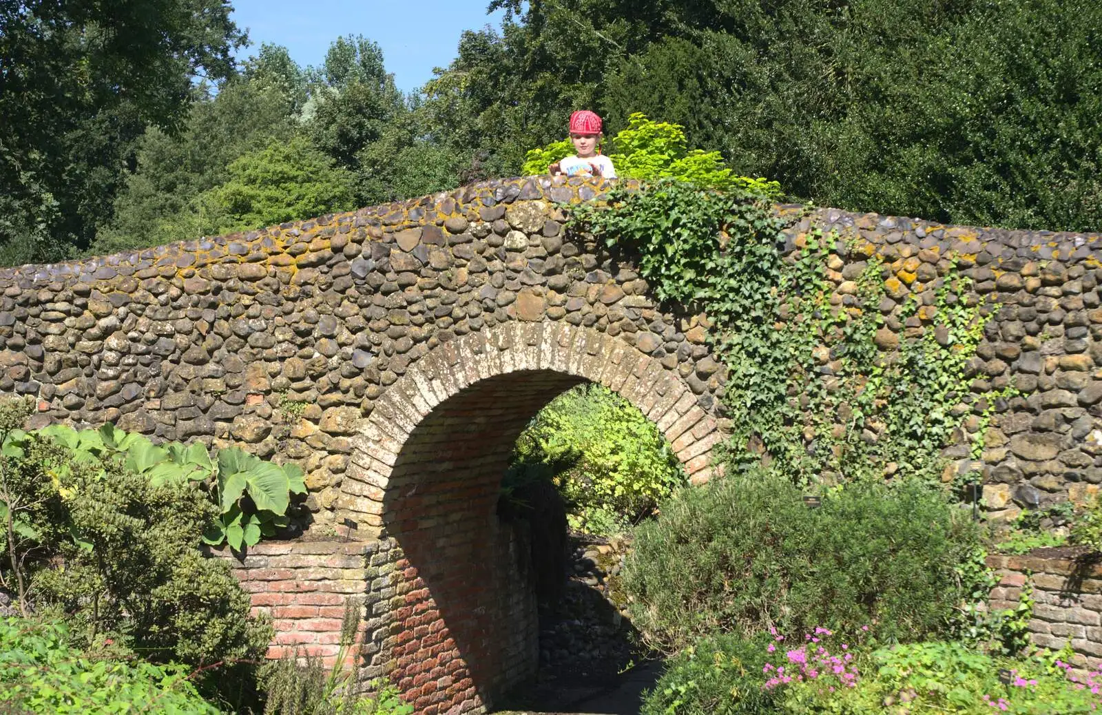 Fred peers out from the bridge, from Bressingham Gardens, and Building Progress, Brome, Suffolk - 26th August 2013