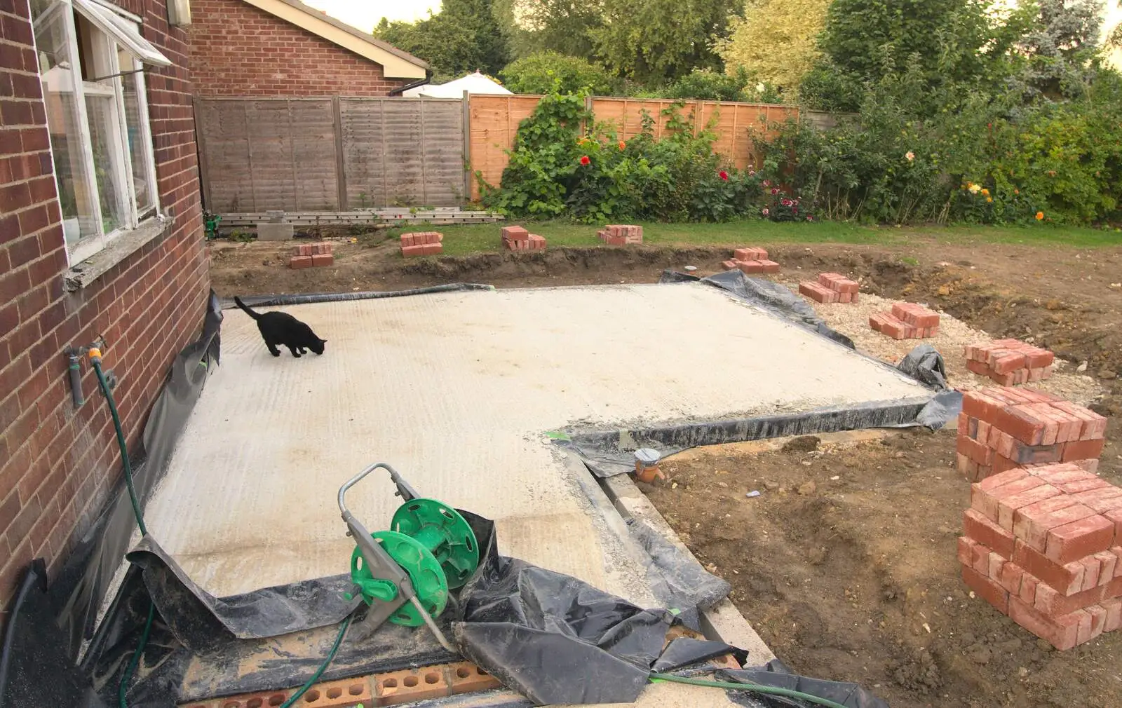 Millie the Mooch has a sniff, from Bressingham Gardens, and Building Progress, Brome, Suffolk - 26th August 2013