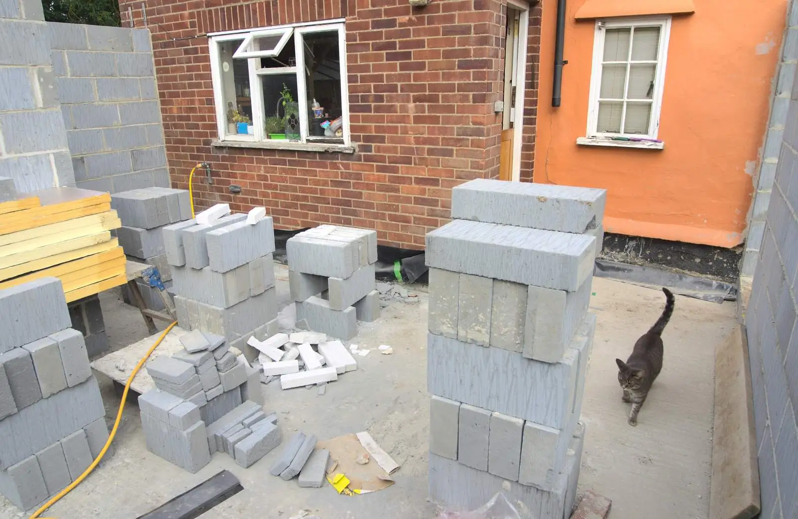 Boris comes out for a look, from Bressingham Gardens, and Building Progress, Brome, Suffolk - 26th August 2013