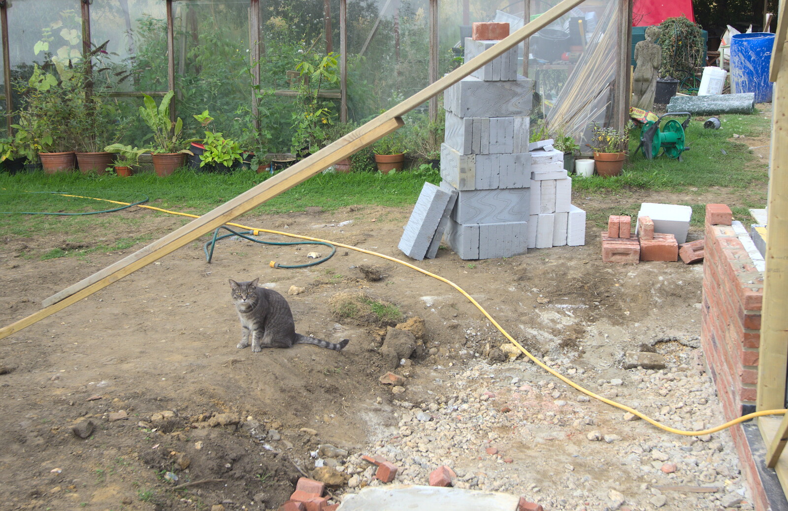 Boris sits around and watches from Bressingham Gardens, and Building Progress, Brome, Suffolk - 26th August 2013
